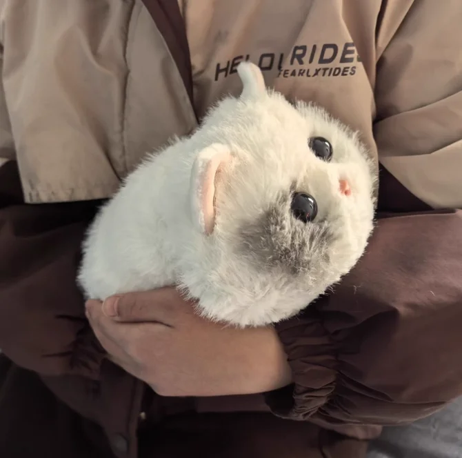 Novo Brinquedo Robô de Pelúcia Walulu Ai Cat: Interação Emocional, Memória Offline, Companheiro Inteligente, Presente para Crianças e Adultos - Em Estoque - Imagem 5