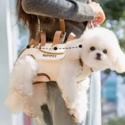 Mochila e Bolsa de Transporte multifuncional para Cães, Portátil e Respirável, Fácil de Limpar, Alça Ajustável para Animais Idosos ou Feridos